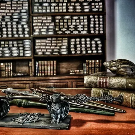 El Torreon Magico Affittacamere