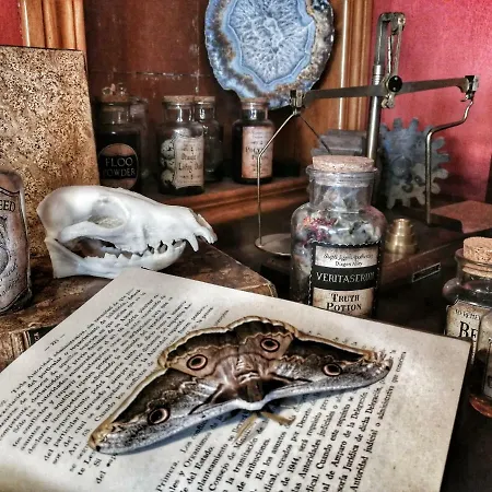 El Torreon Magico Asin